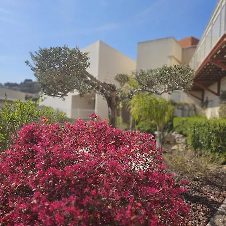 Panorama Unique Standing Cannes A Portee & Piscine Chauffee דירה מאנדליה-לה-נאפול