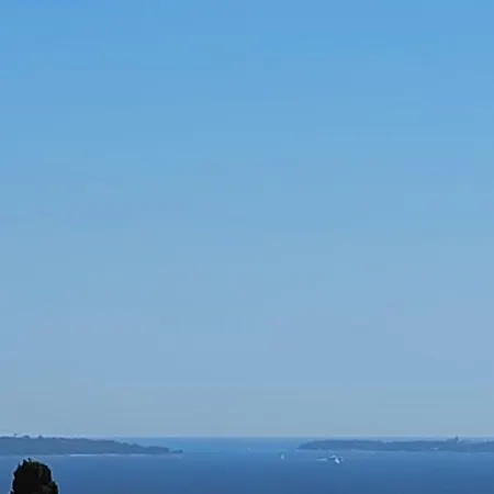 Panorama Unique Standing Cannes A Portee & Piscine Chauffee * Mandelieu