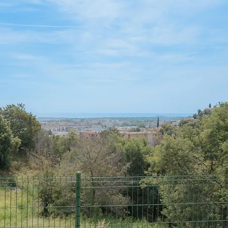 Apartment Panorama Unique Standing Cannes A Portee & Piscine Chauffee Mandelieu
